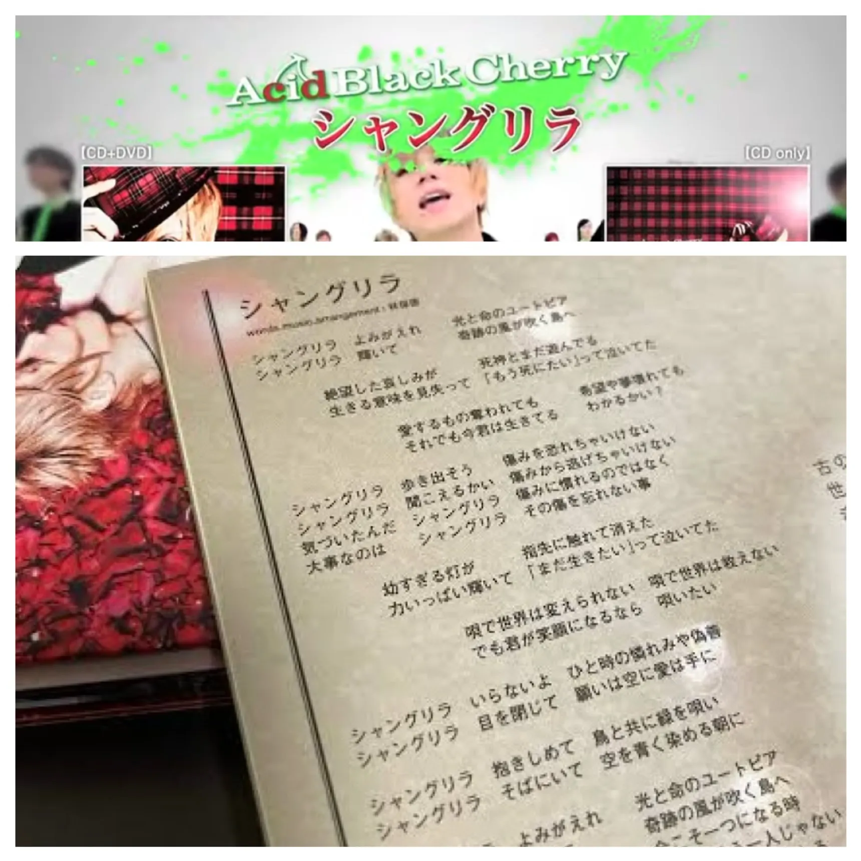 【3.11 シャングリラ】