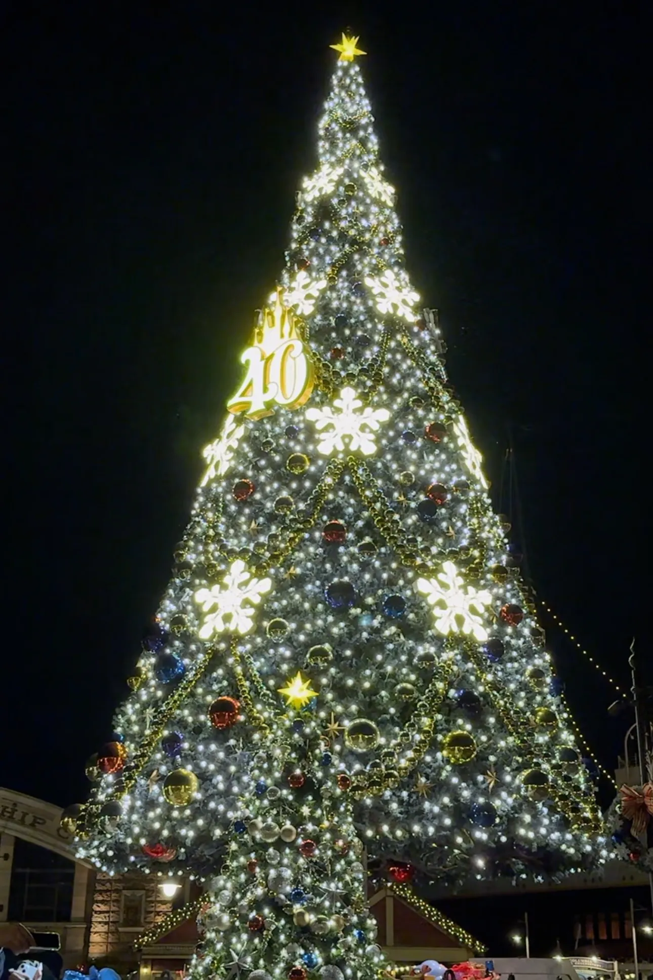 ◆メリークリスマス◆