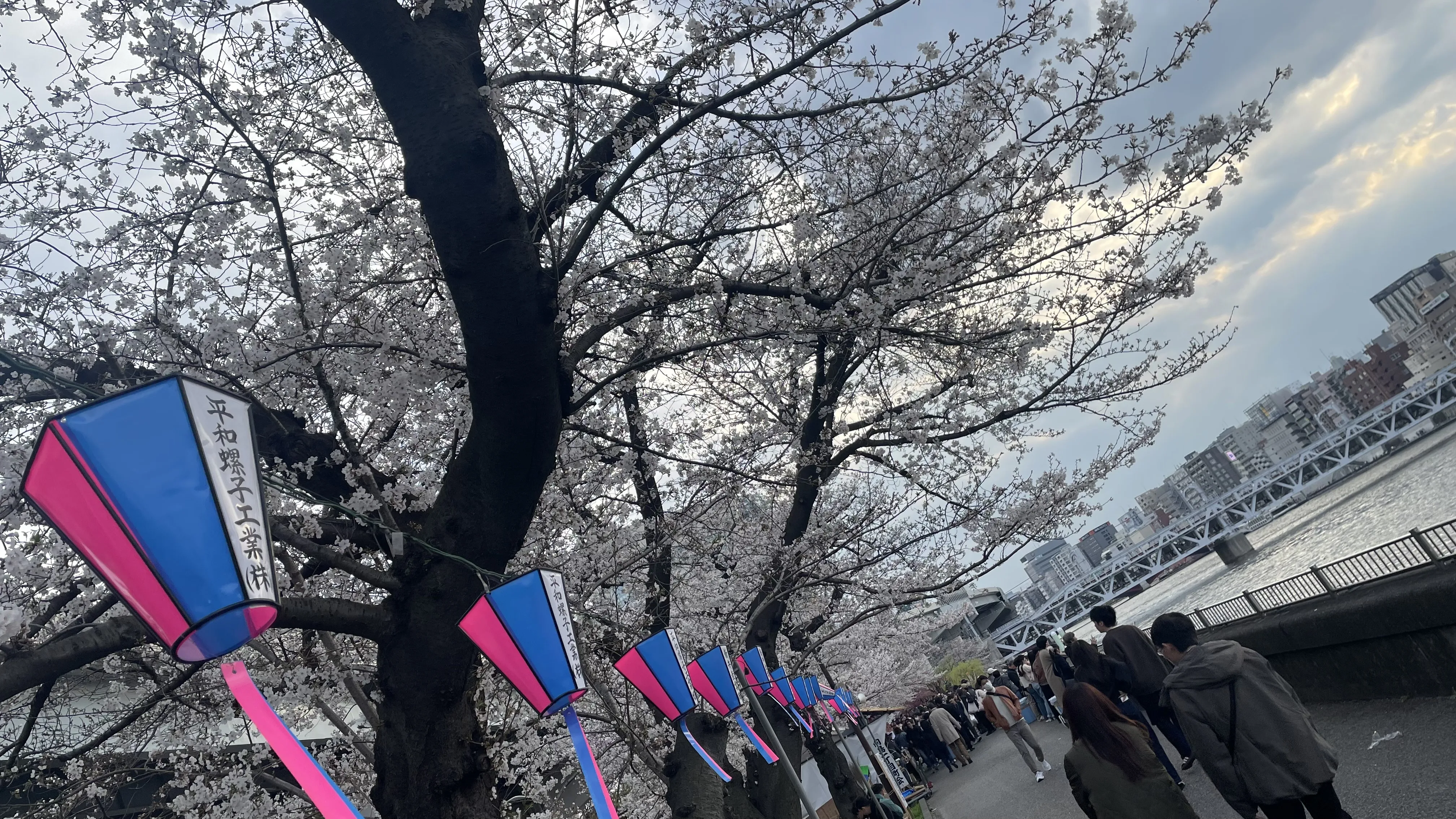  短所の話
