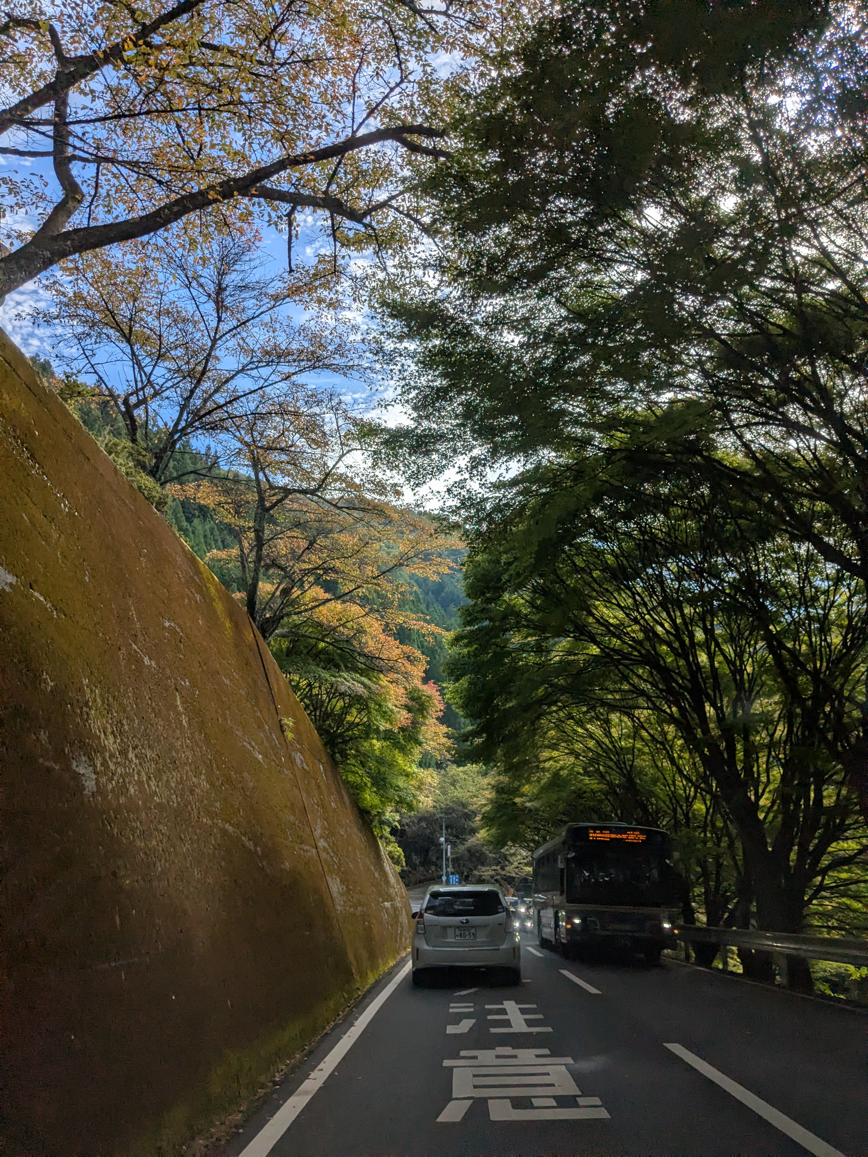 気が付けば冬、秋はどこ行った