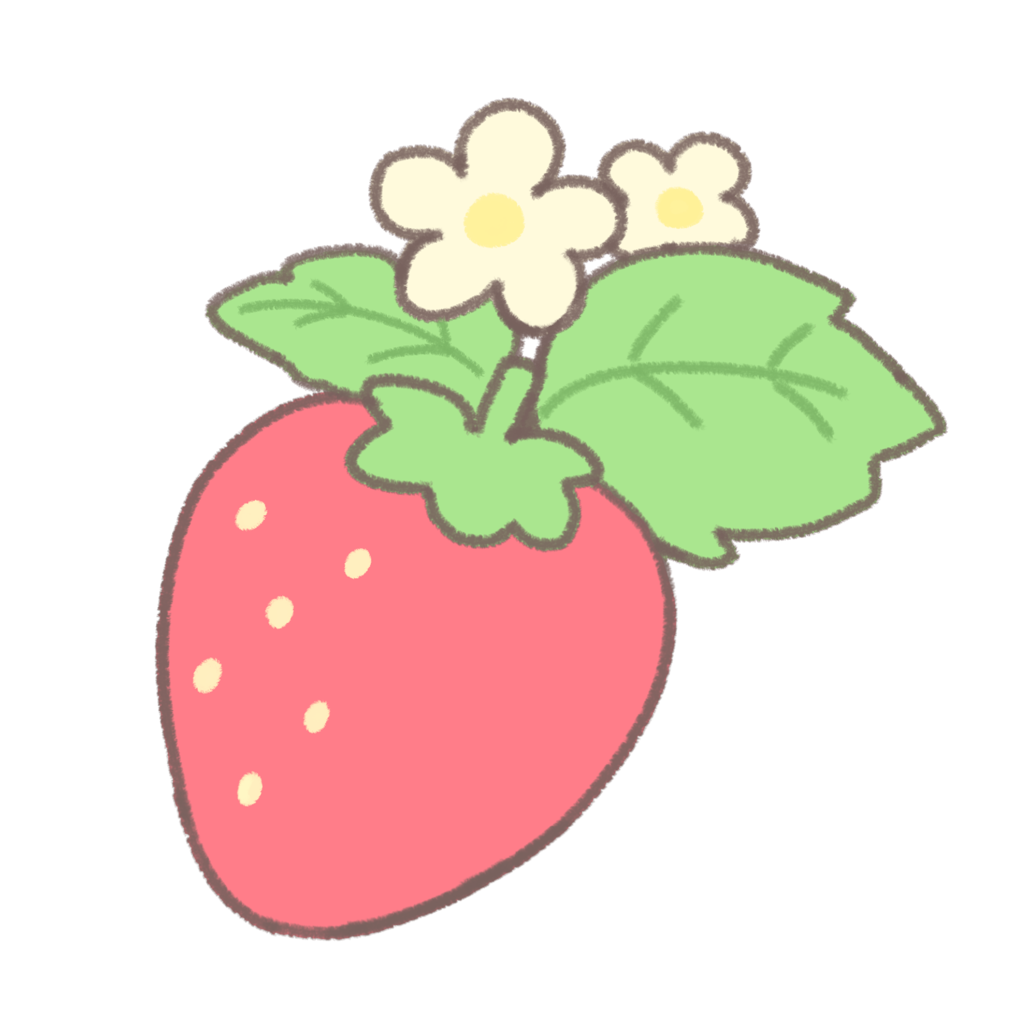 ストロベリーボーイズは良いお店！