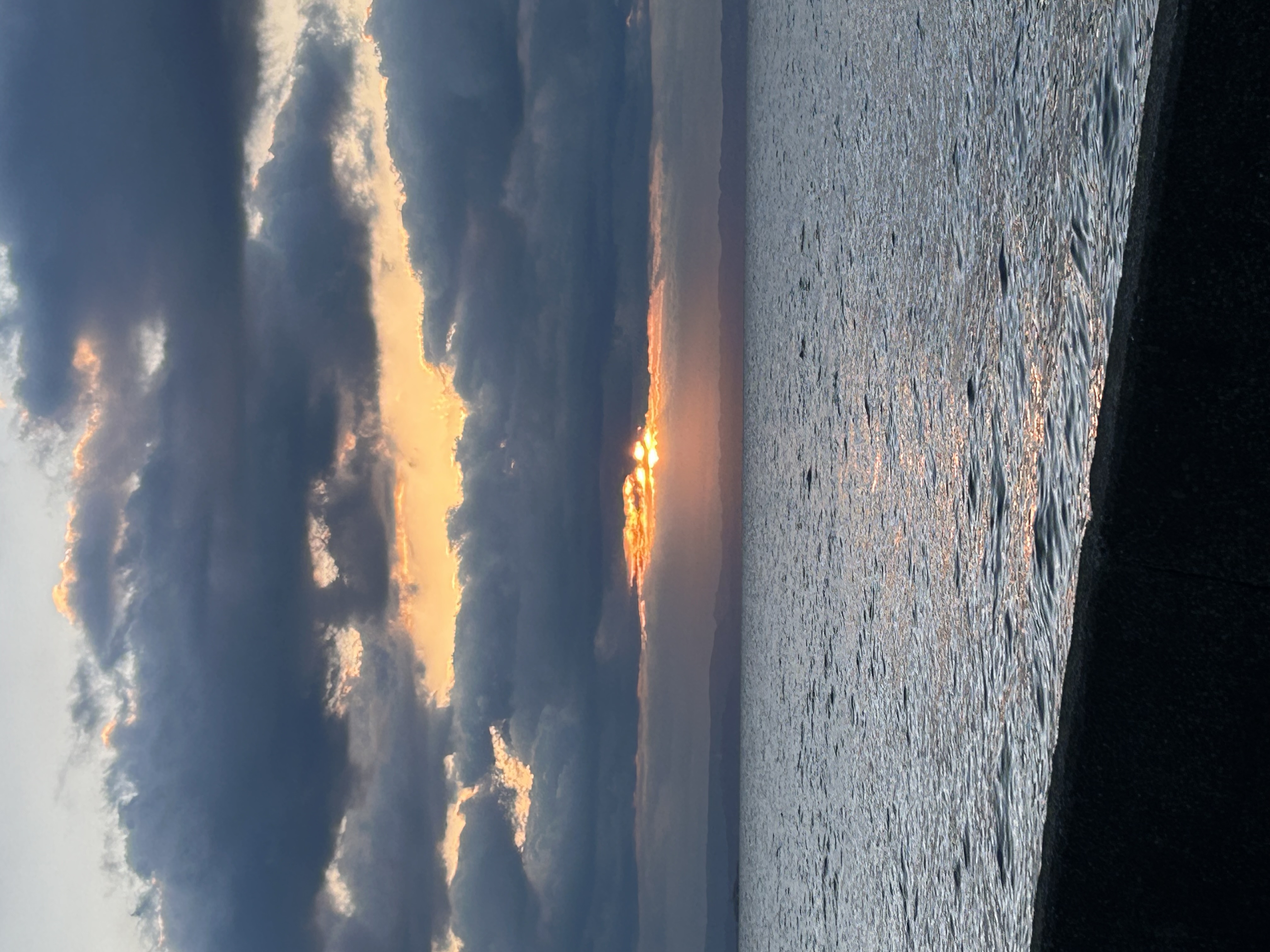 2026年1発目の日記